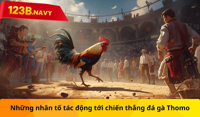 Những nhân tố tác động tới chiến thắng đá gà Thomo
