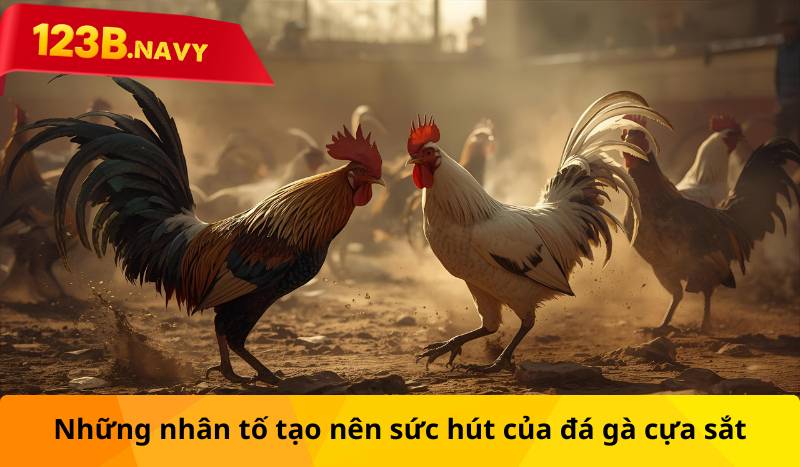 Những nhân tố tạo nên sức hút của đá gà cựa sắt